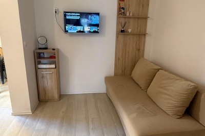 Jednosoban stan u prizemlju, Mareda