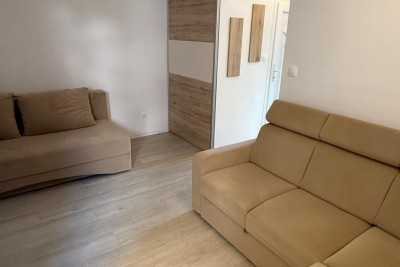 Jednosoban stan u prizemlju, Mareda